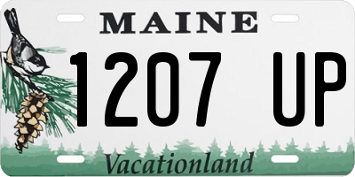 ME license plate 1207UP