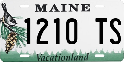 ME license plate 1210TS