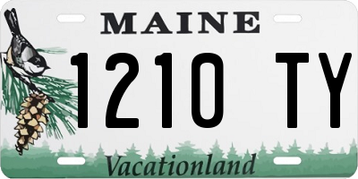 ME license plate 1210TY