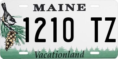 ME license plate 1210TZ