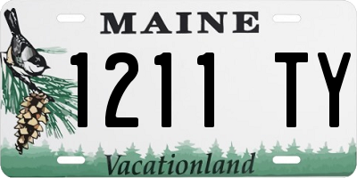 ME license plate 1211TY