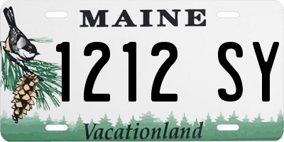 ME license plate 1212SY