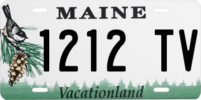 ME license plate 1212TV