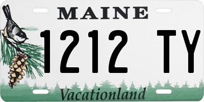 ME license plate 1212TY