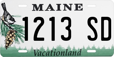 ME license plate 1213SD