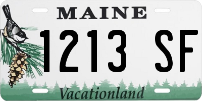 ME license plate 1213SF
