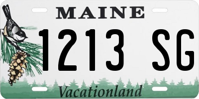ME license plate 1213SG