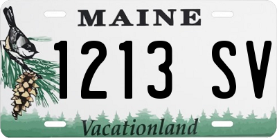 ME license plate 1213SV