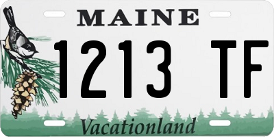 ME license plate 1213TF