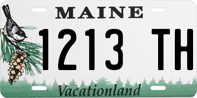 ME license plate 1213TH