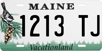 ME license plate 1213TJ