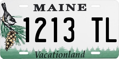 ME license plate 1213TL