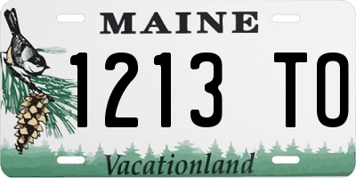 ME license plate 1213TO