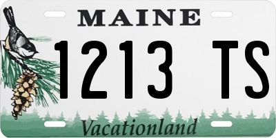 ME license plate 1213TS