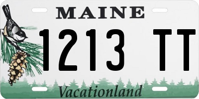 ME license plate 1213TT