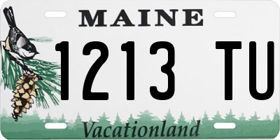 ME license plate 1213TU