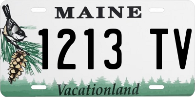ME license plate 1213TV