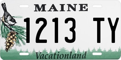 ME license plate 1213TY