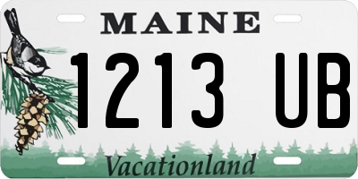 ME license plate 1213UB