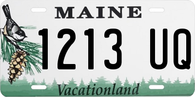 ME license plate 1213UQ