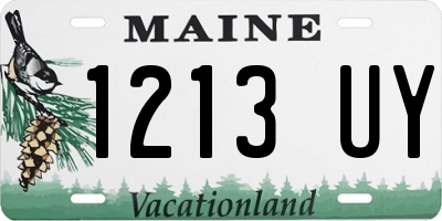 ME license plate 1213UY