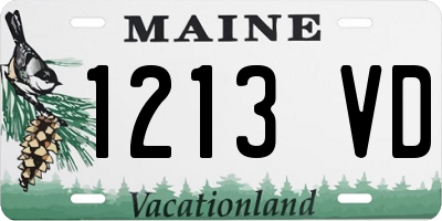 ME license plate 1213VD