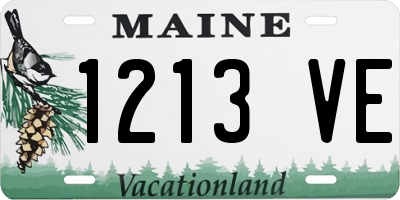 ME license plate 1213VE
