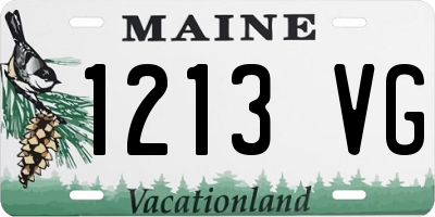 ME license plate 1213VG