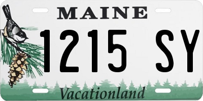 ME license plate 1215SY