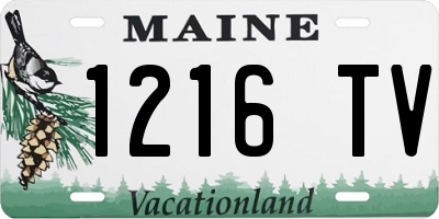 ME license plate 1216TV
