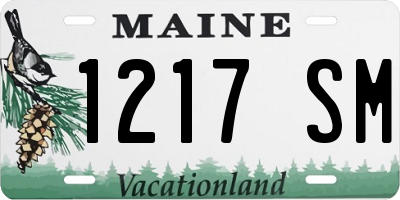 ME license plate 1217SM
