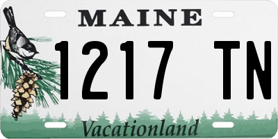 ME license plate 1217TN