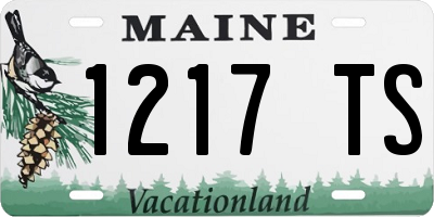 ME license plate 1217TS