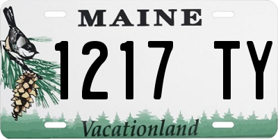 ME license plate 1217TY