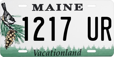 ME license plate 1217UR