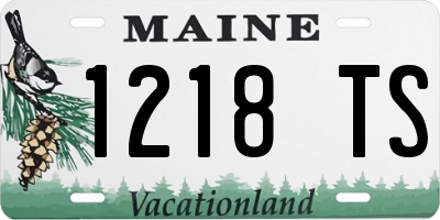 ME license plate 1218TS