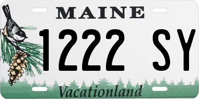 ME license plate 1222SY