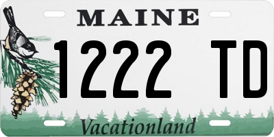 ME license plate 1222TD