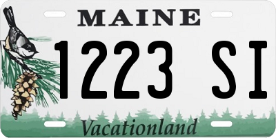 ME license plate 1223SI