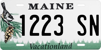 ME license plate 1223SN