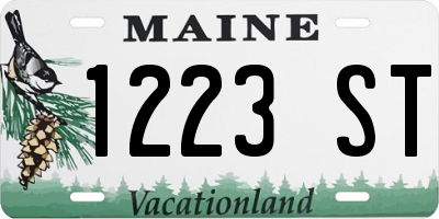 ME license plate 1223ST