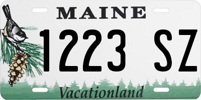 ME license plate 1223SZ