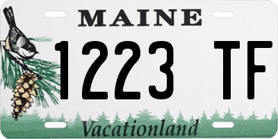 ME license plate 1223TF