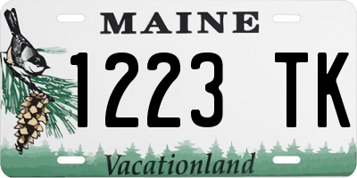 ME license plate 1223TK