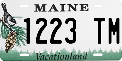 ME license plate 1223TM