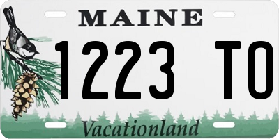 ME license plate 1223TO