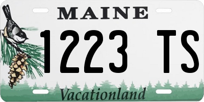 ME license plate 1223TS