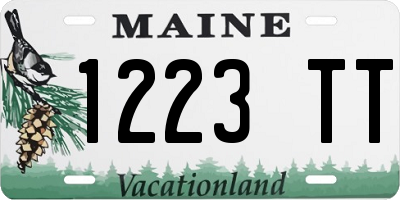 ME license plate 1223TT
