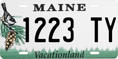 ME license plate 1223TY