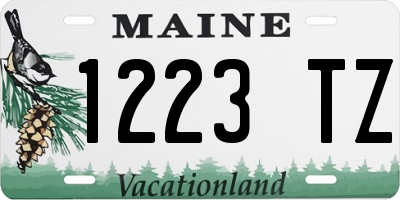 ME license plate 1223TZ